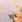 waterloo - 3.3 MB MP3